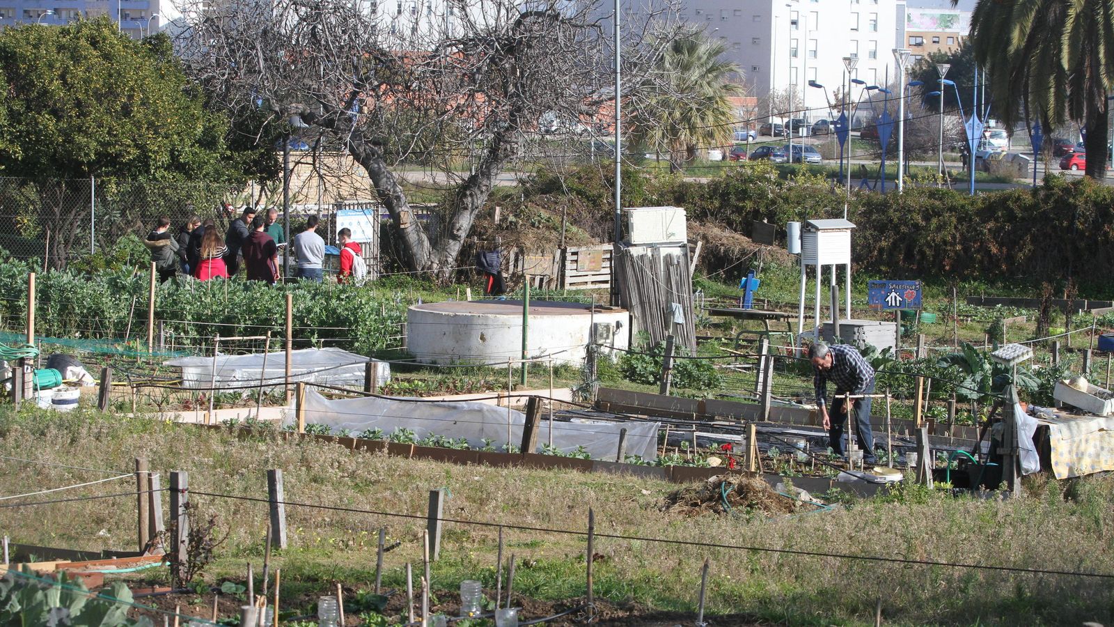 Huertos en el Parque Moret.