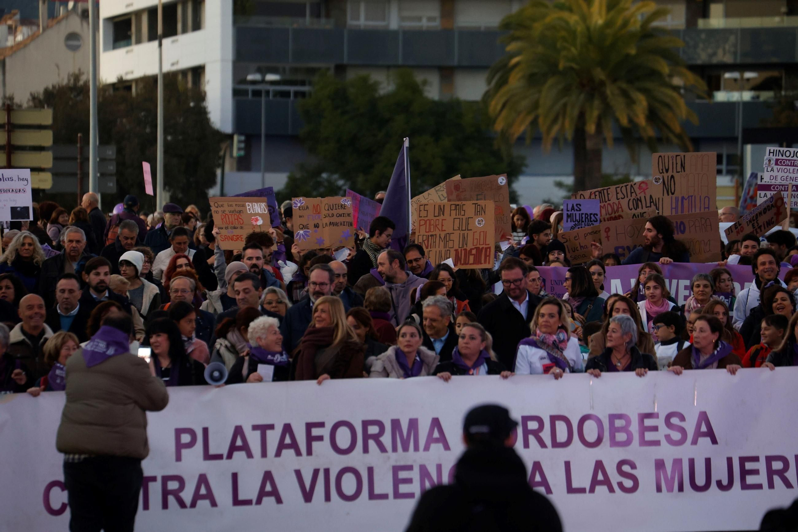 La manifestación del 25N en Córdoba