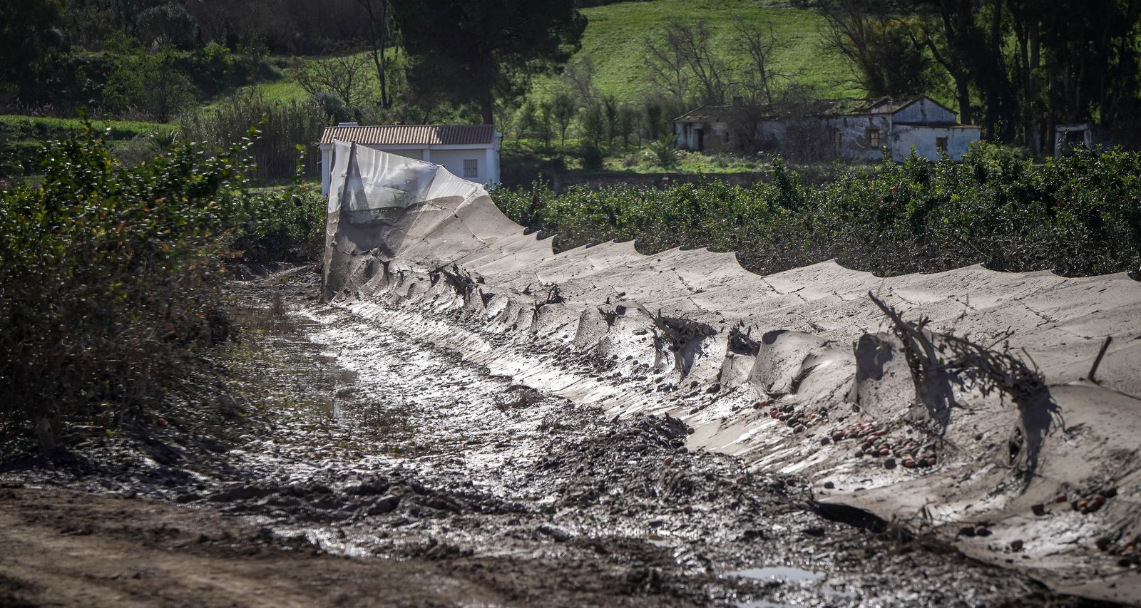 Imágenes de la visita de Juanma Moreno y el comisario europeo de Agricultura a los campos afectados por el temporal en Jerez