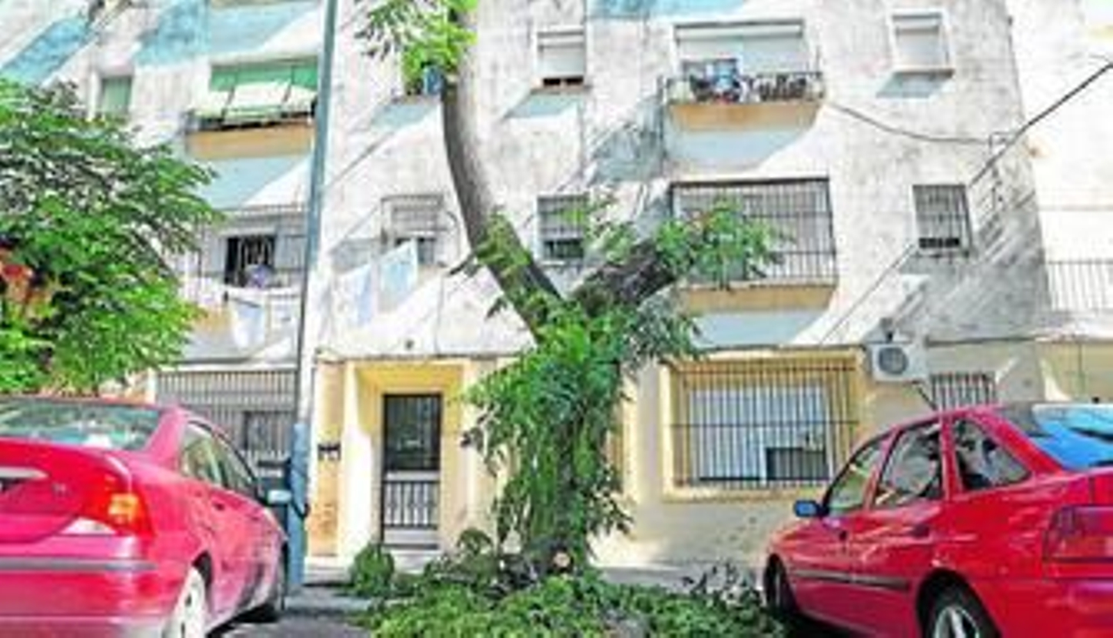 Uno de los últimos desprendimientos en La Constancia, que llegan a ocupar la plaza de aparcamiento de un turismo.
