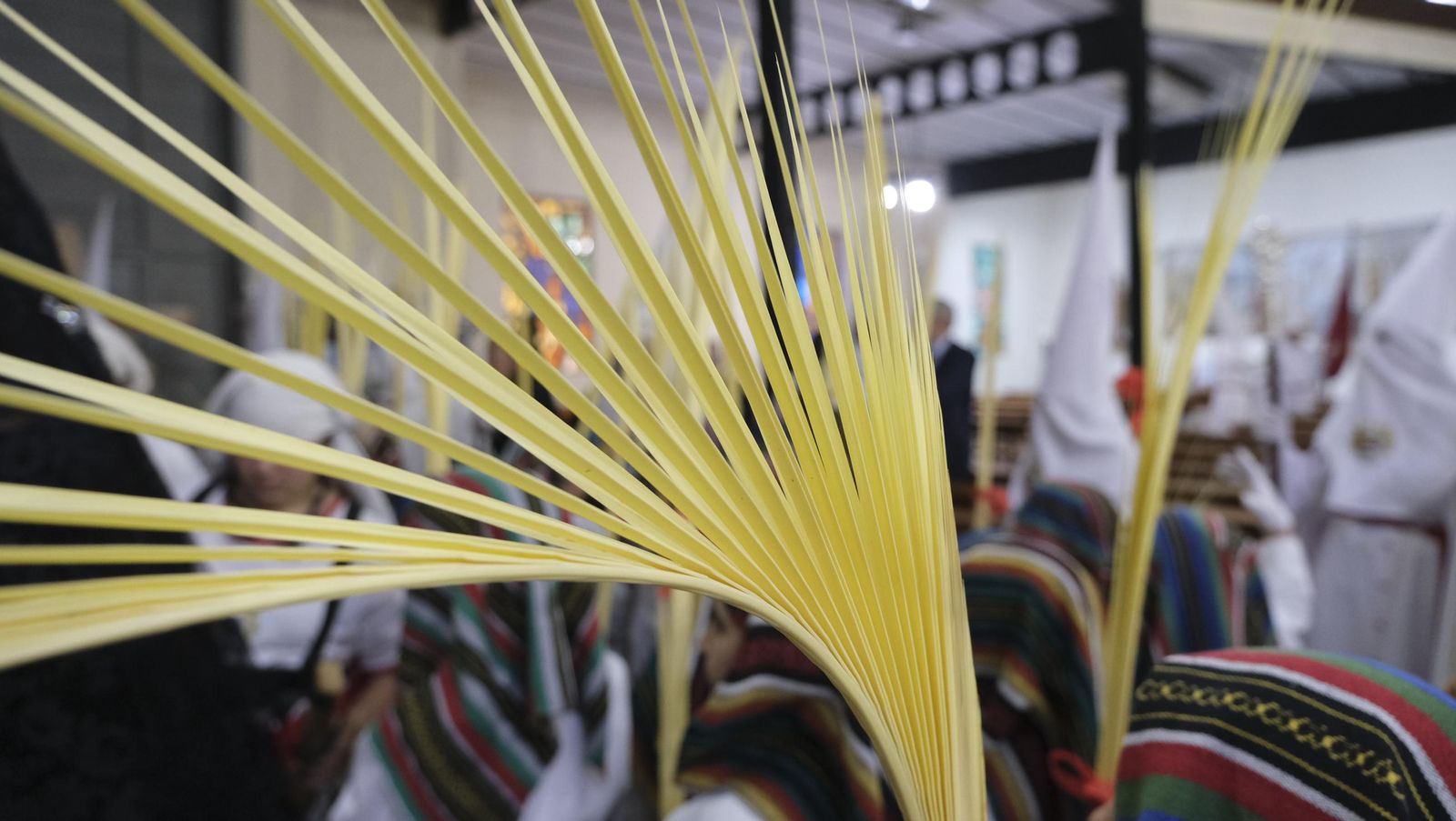 La Borriquita en la Semana Santa de Almería 2025, en imágenes