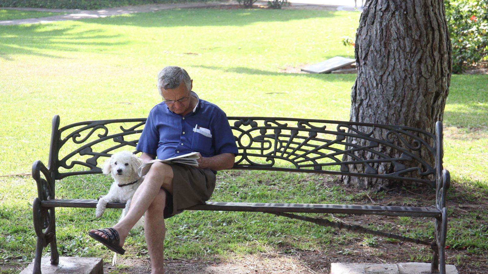 Banco y lectura junto al Puente de las Américas.