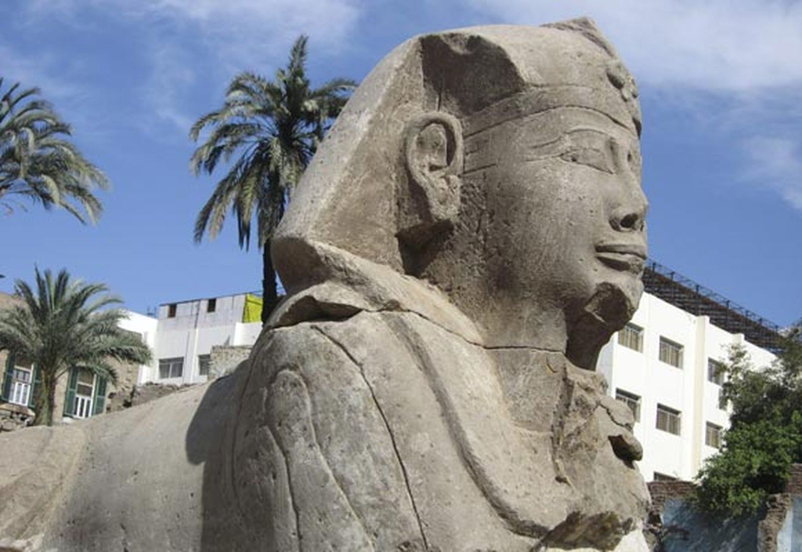 Hallan 12 nuevas esfinges entre Luxor y Karnak