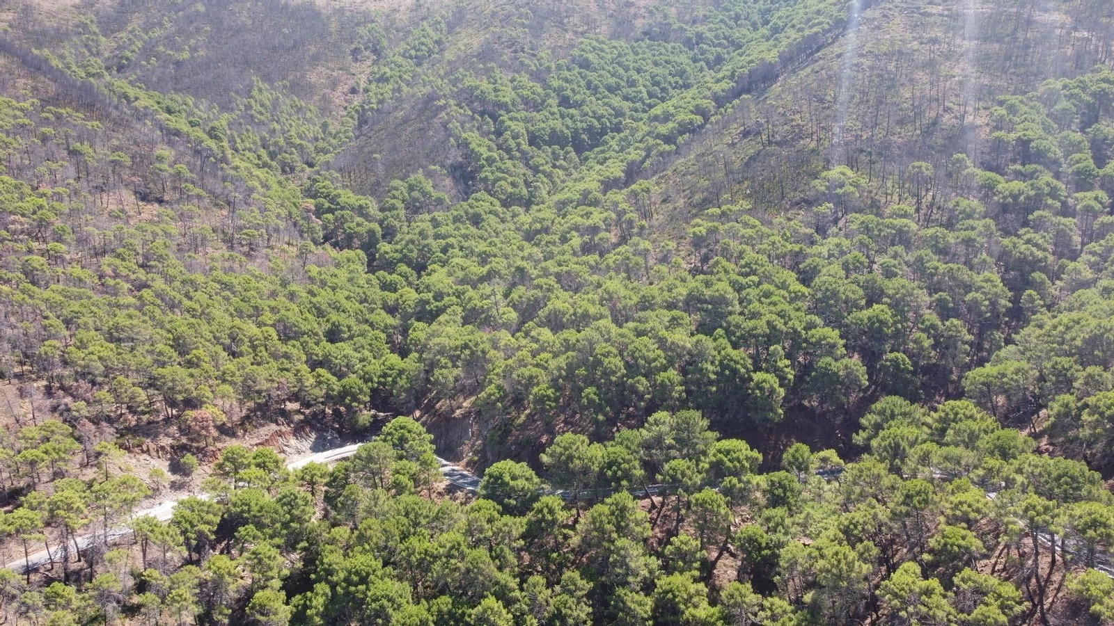 Los trabajos de mejora de la carretera y de las captaciones de agua en la zona afectada por el incendio de 2021 en Jubrique.