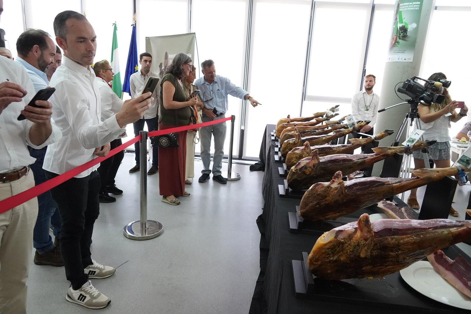 El concurso al mejor jamón de bellota 100% ibérico de Los Pedroches, en imágenes
