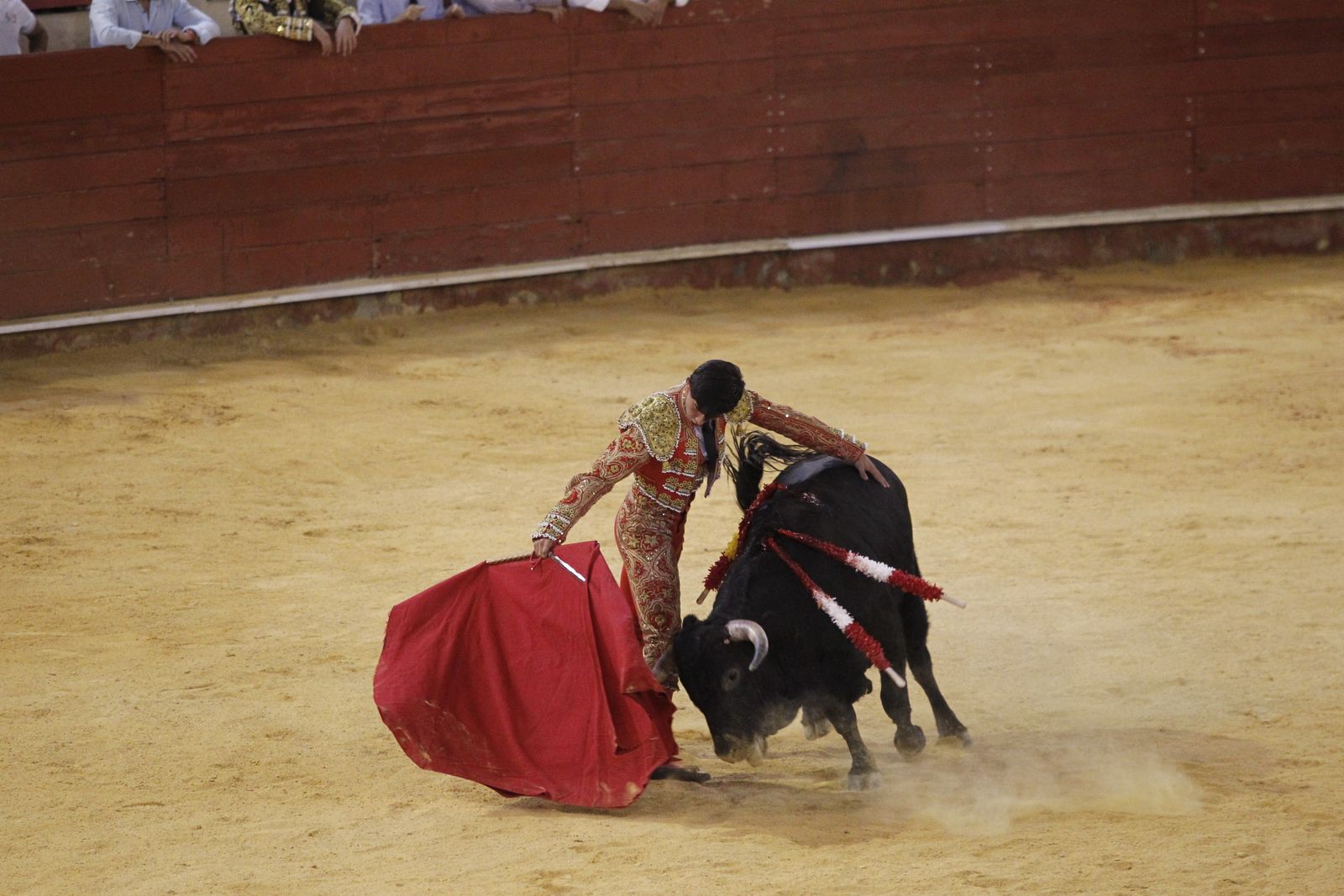 Fotogalería novillada Escuela Taurina de Almería. Feria de Almería 2019
