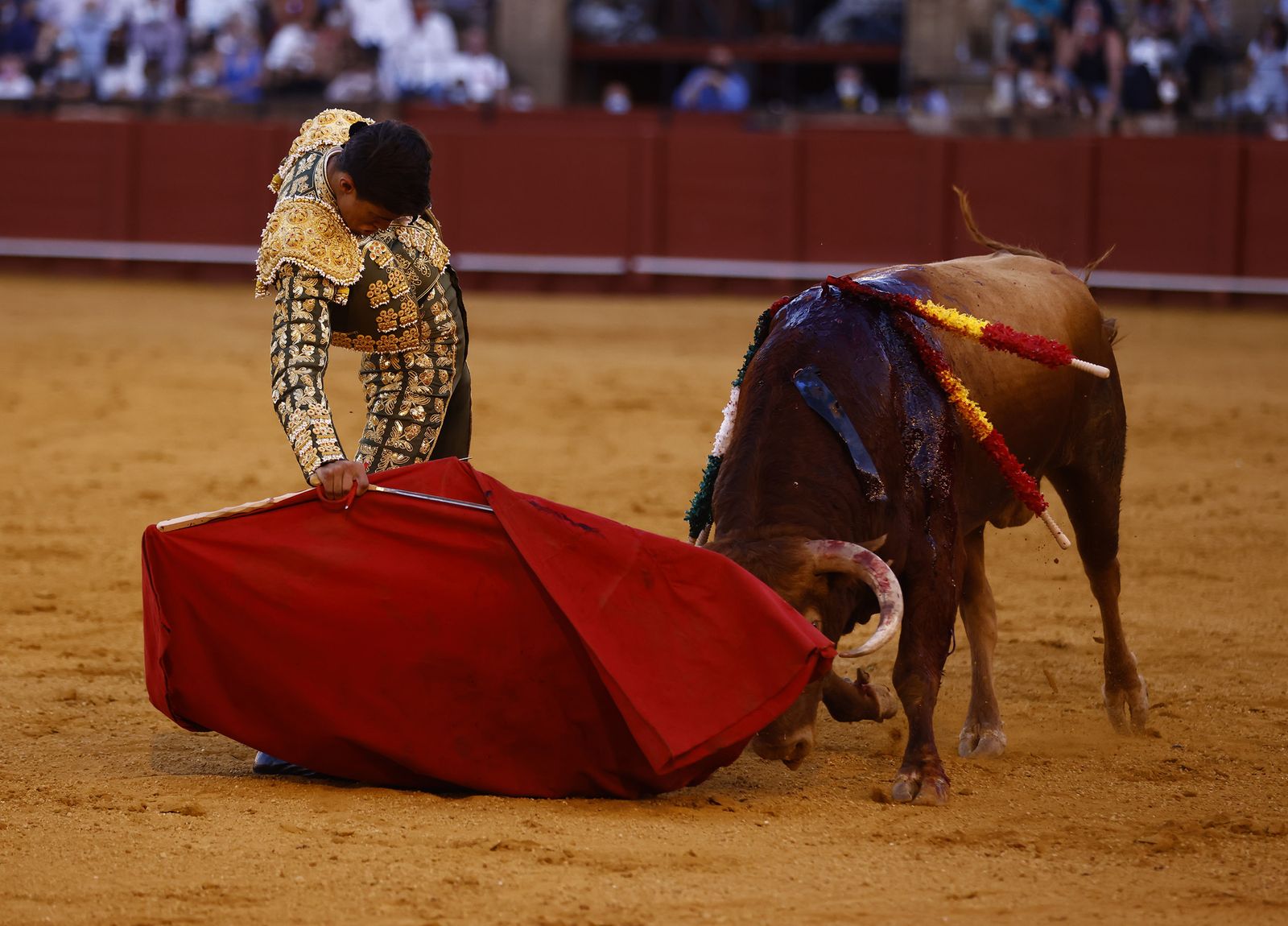 Fotos de la segunda novillada de la feria de San Miguel de Sevilla
