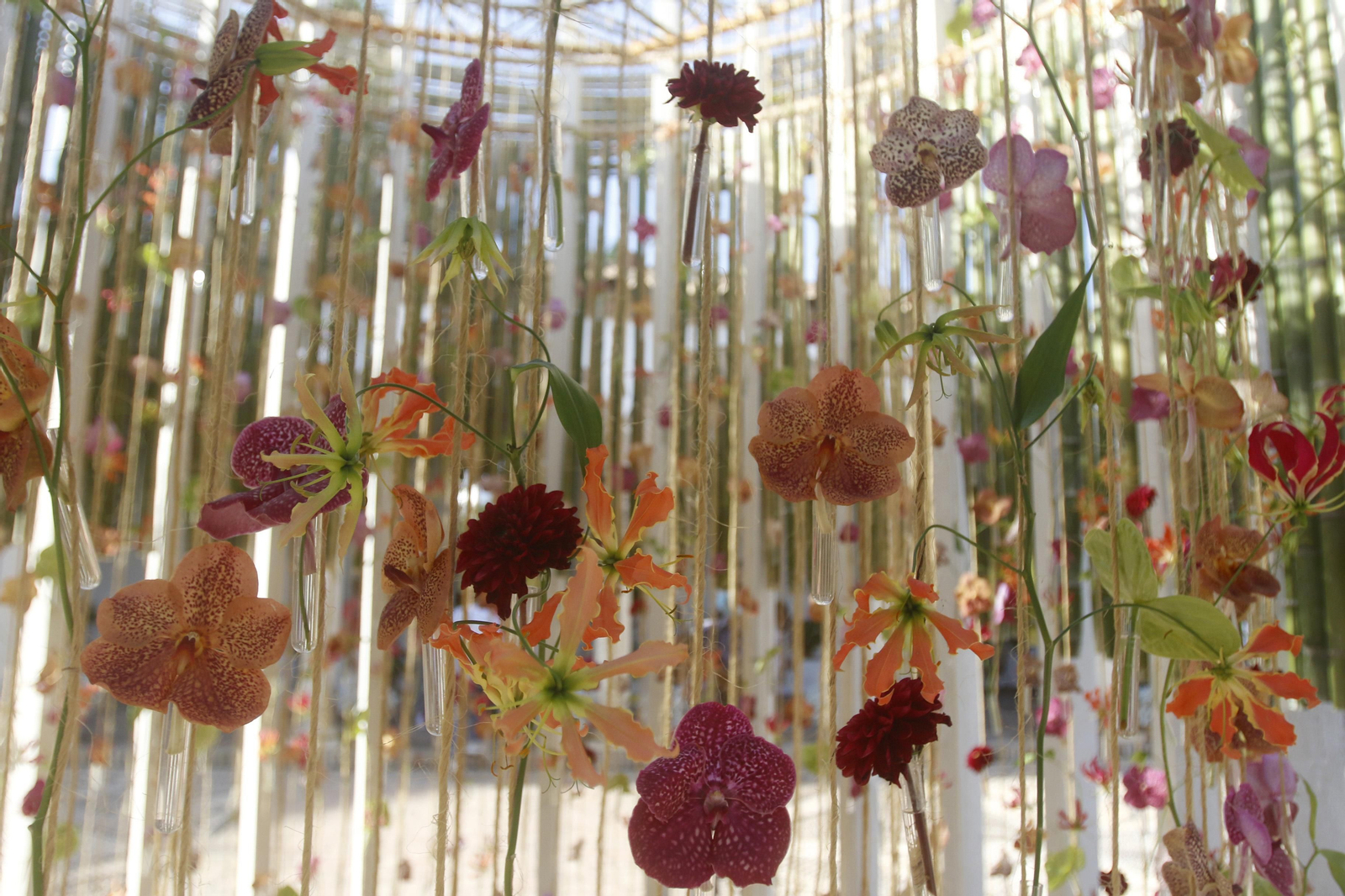 El Festival Internacional de las Flores, Flora, en fotografías