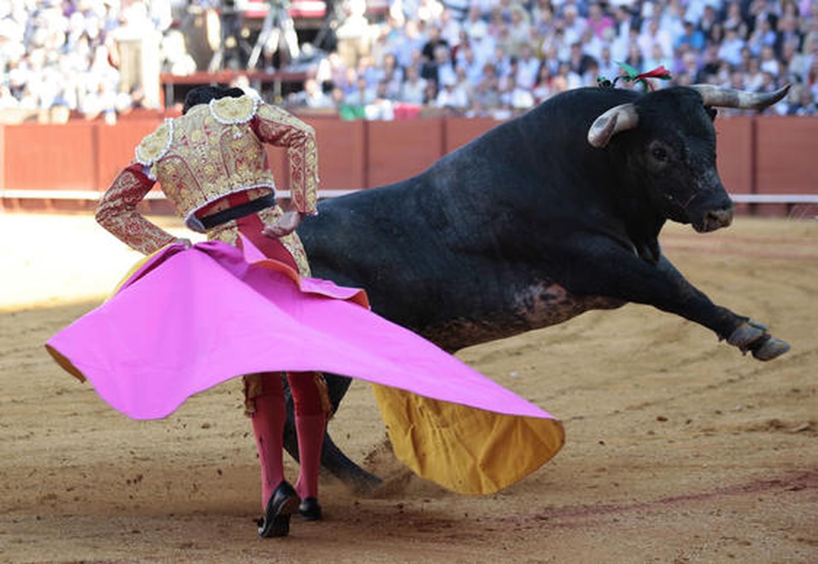 El torero mexicano Israel Téllez, en su debut en España.

Foto: Juan Carlos Muñoz