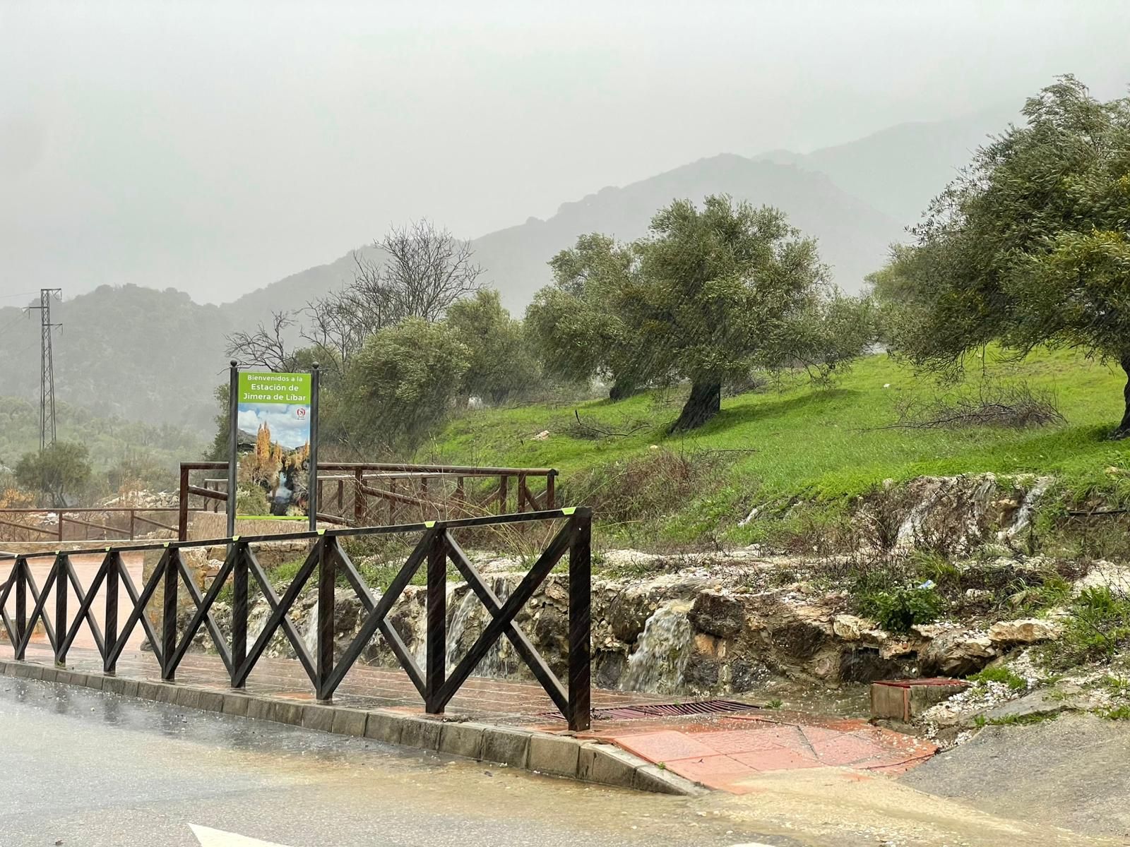 El paso de la borrasca Leonardo por la provincia de Málaga, en imágenes