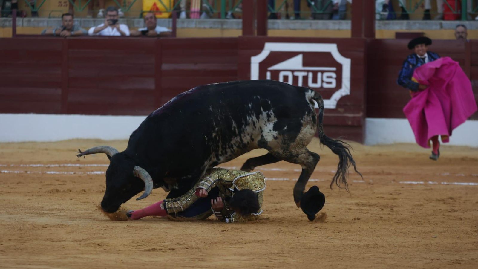 En un intento de quite por espaldina, Miguelín style, el bicho levantó a Ignacio Candelas como si tal cosa.