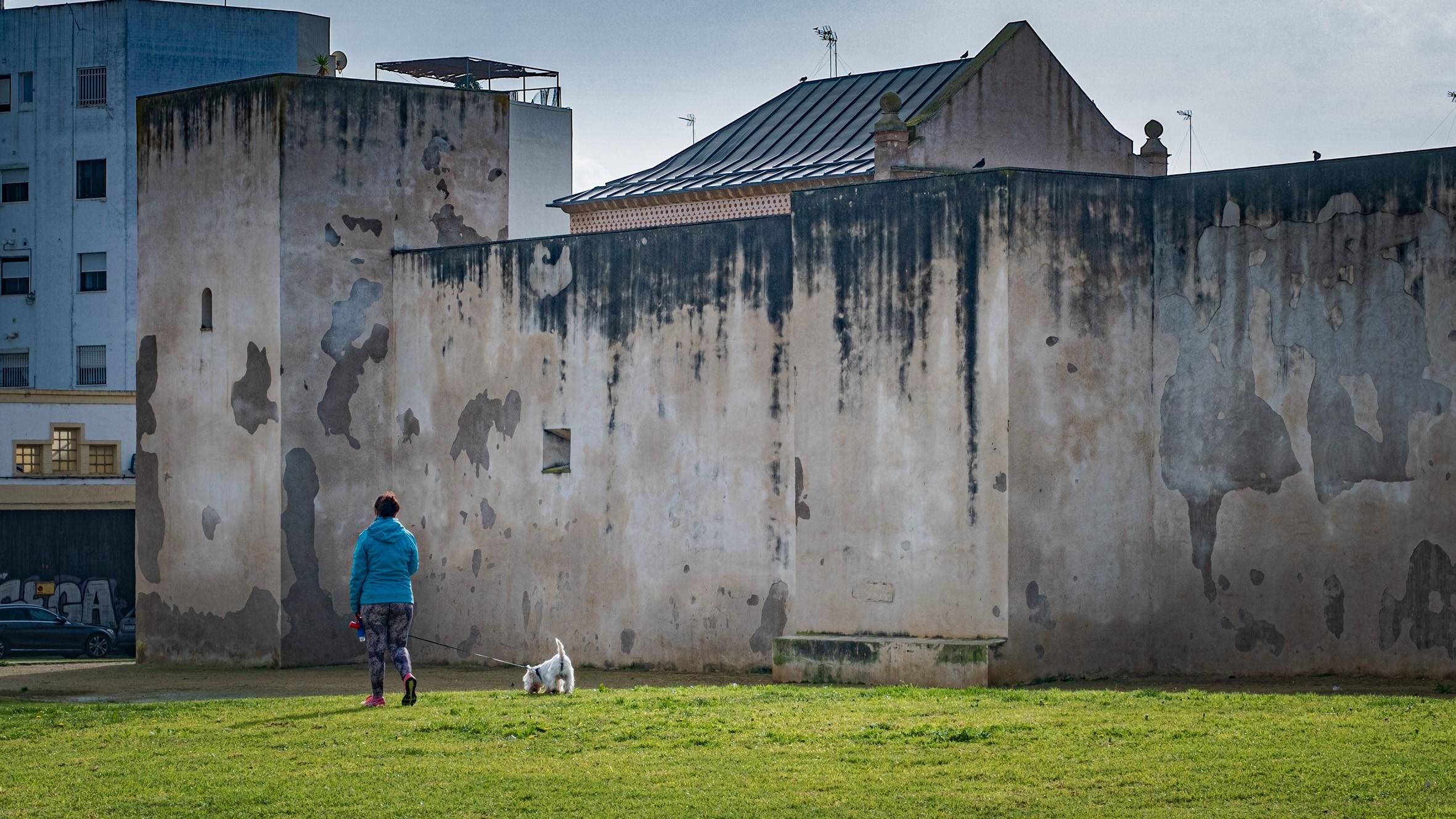Adjudicada la reforma de las fachadas del edificio auxiliar del Castillo de San Romualdo: costará 47.000 euros retirar el polémico jardín vertical