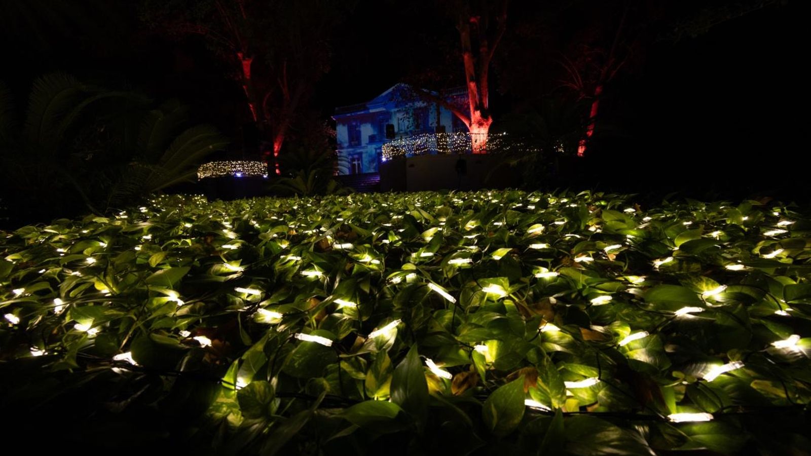 Otra de las zonas de Ilusión en el Jardín Botánico. Otra de las zonas de Ilusión en el Jardín Botánico.