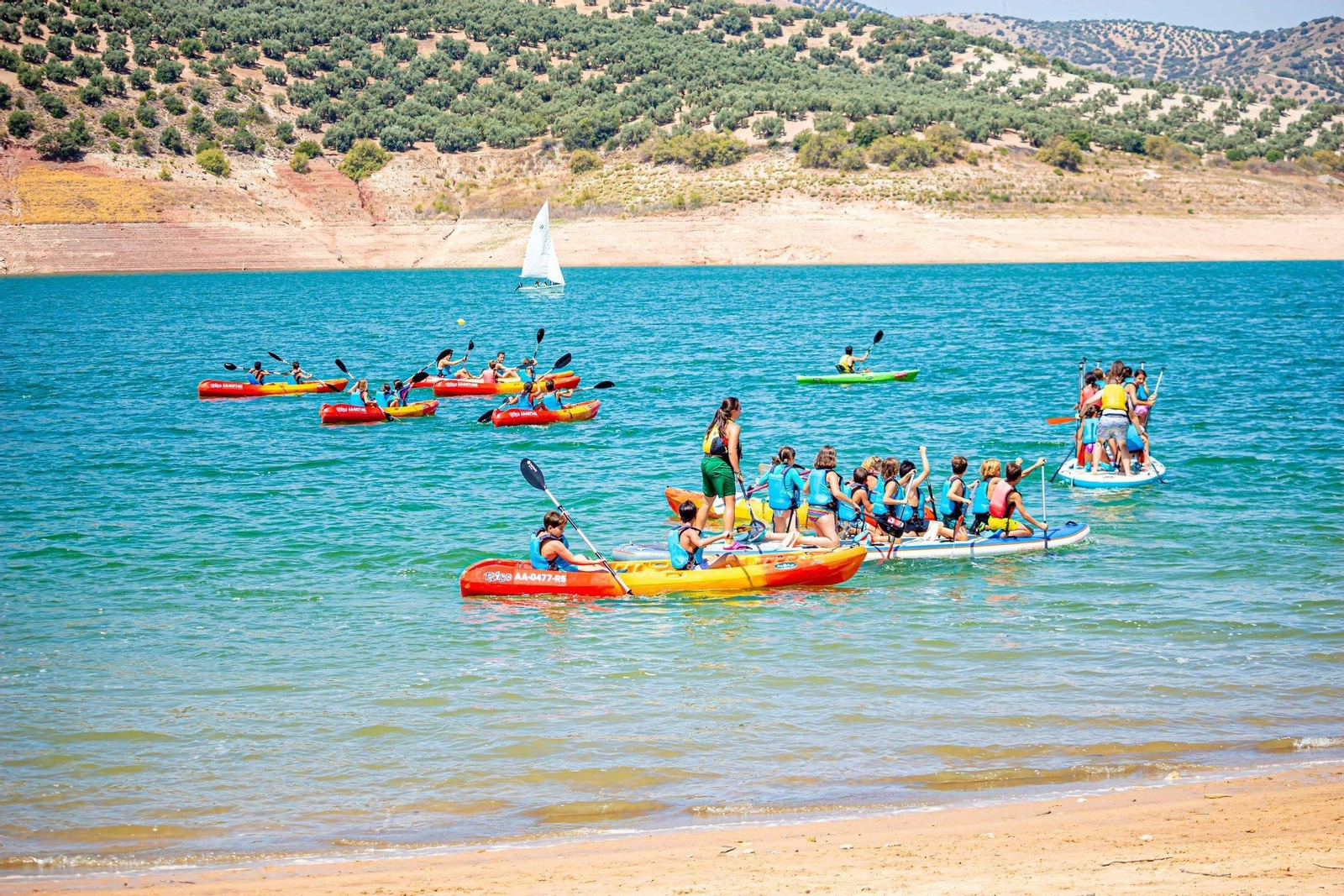 Campamentos y escuelas de verano para los más pequeños