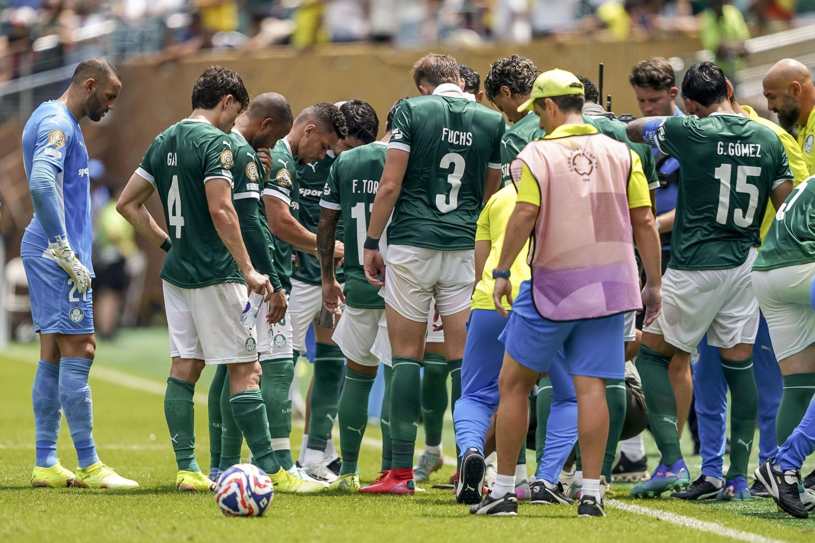 Palmeiras-Botafogo (32).jpg