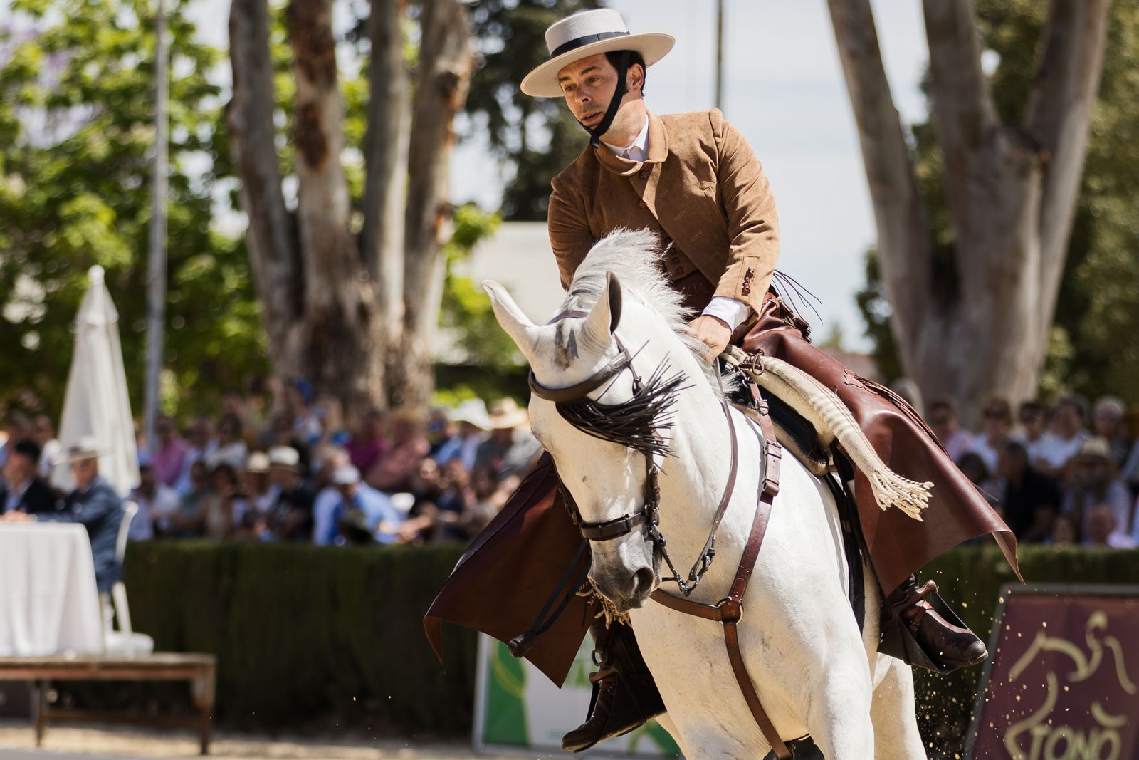 Imágenes de la Final de Doma Vaquera en Sementales