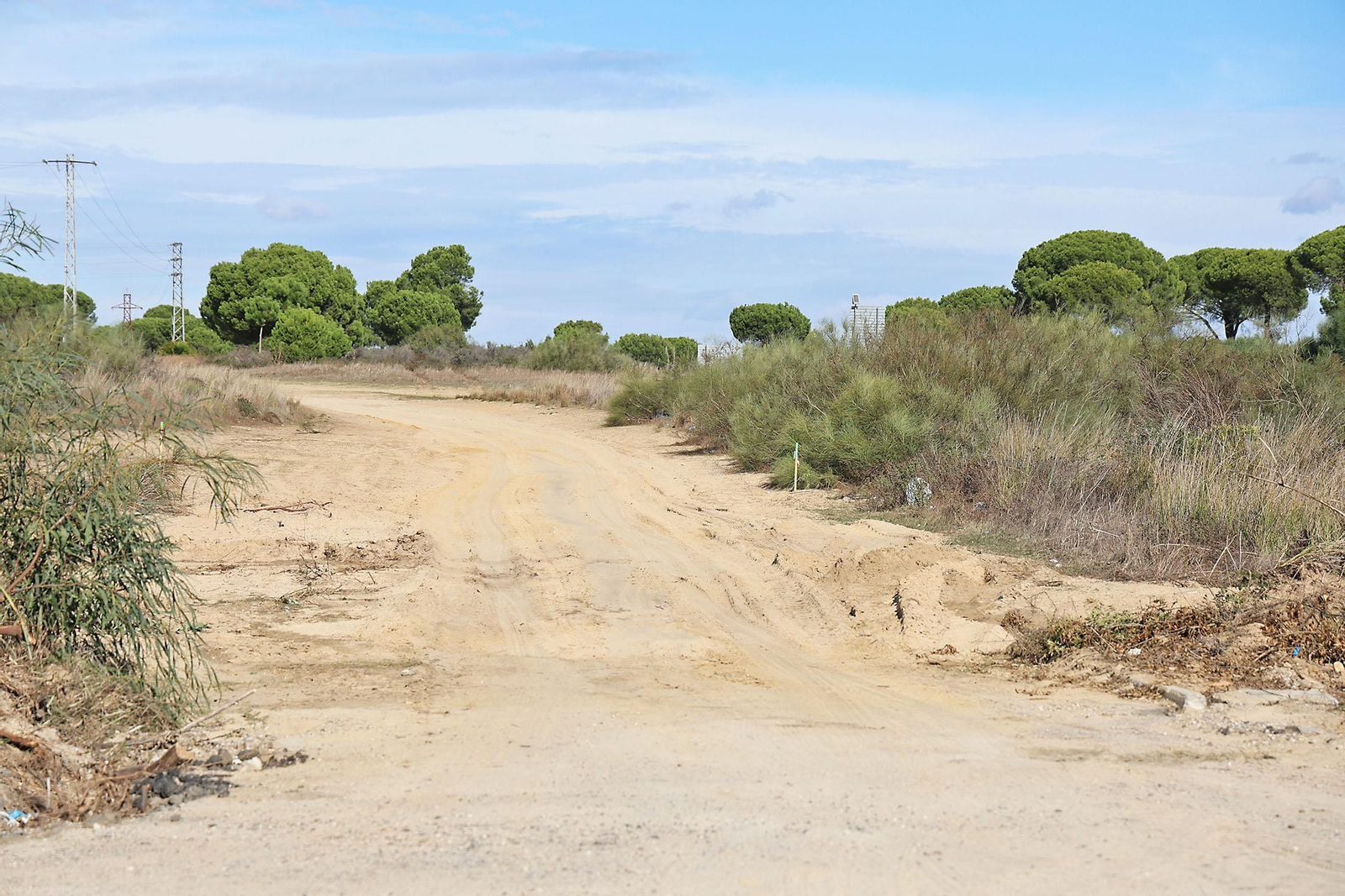Imágenes del Comienzo de las obras del tercer carril en la A-483 entre Almonte y El Rocío