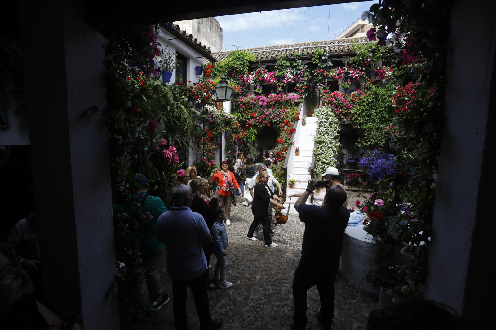 Colas e ilusión en el primer sábado de los Patios de Córdoba, en imágenes