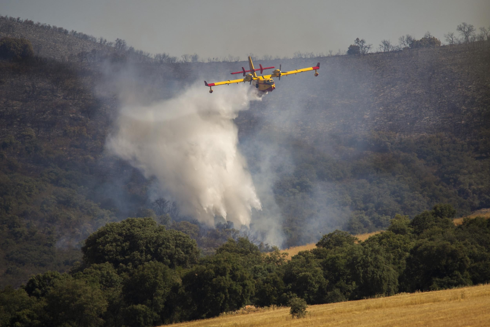 Incendio forestal en Malagón (Ciudad Real)