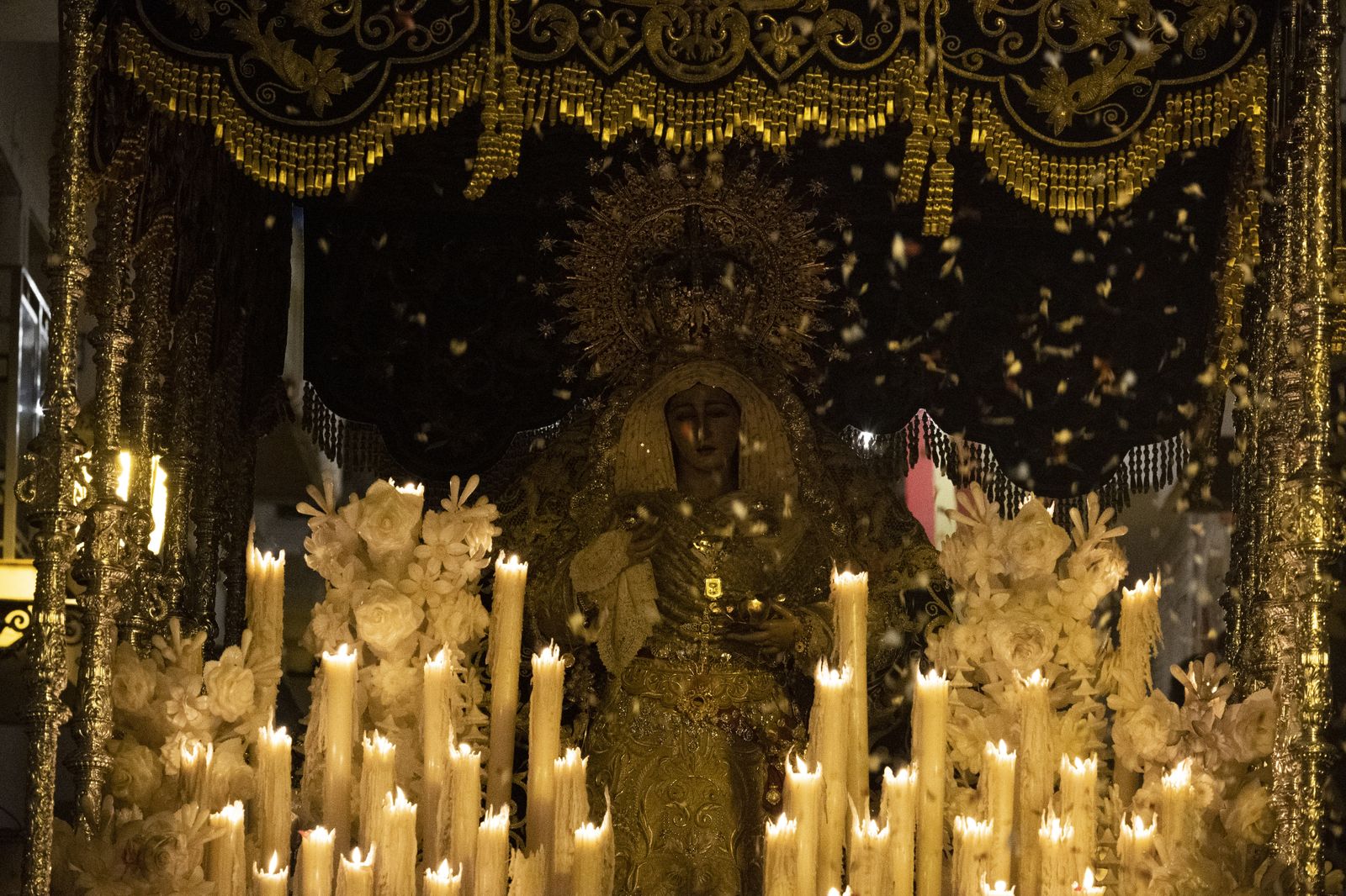 Las mejores imágenes de la procesión de la Amargura Coronada