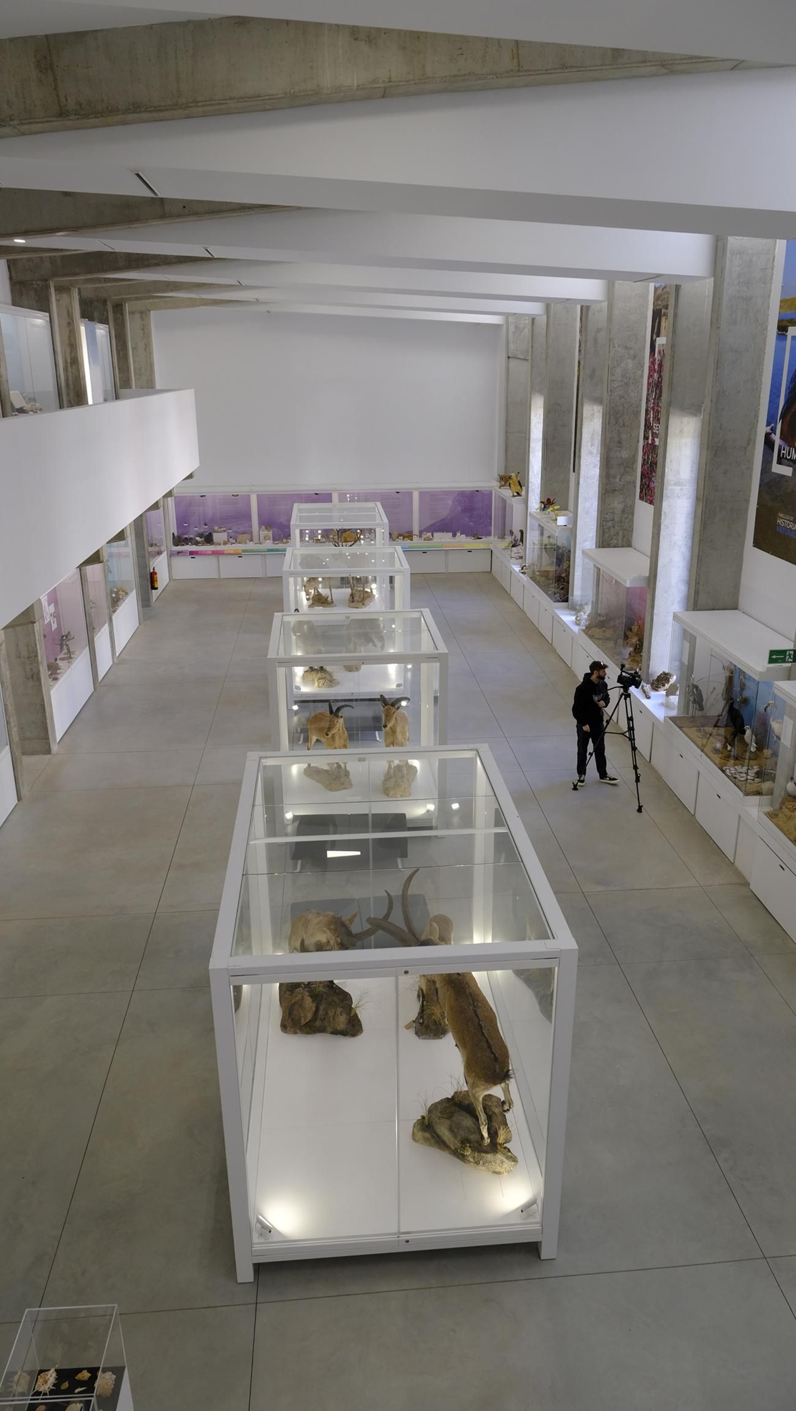 Descubre en estas fotos las maravillas que esconde el Pabellón de Historia Natural de la UAL