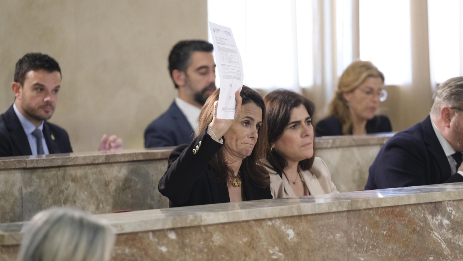 Imágenes del pleno ordinario del Ayuntamiento de Almería