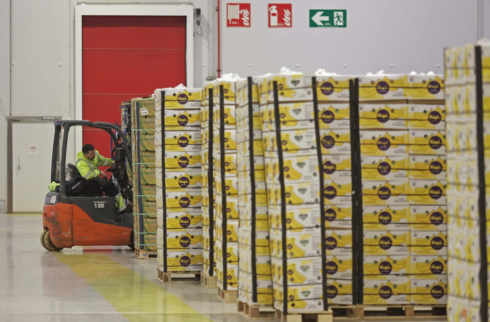 Fotos de la visita a la empresa Americold en el Puerto de Algeciras