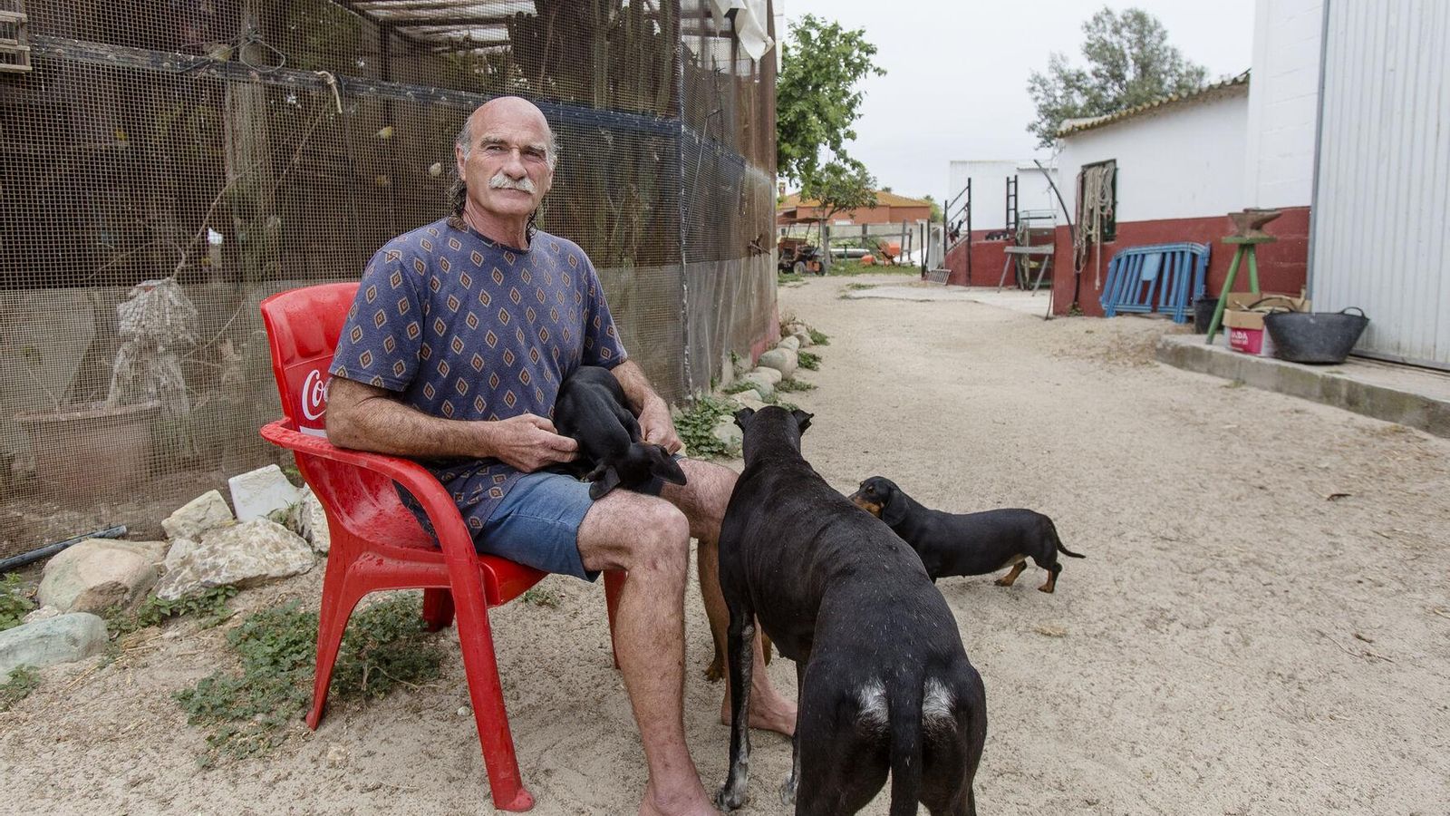 Carlos junto a algunos de sus perros en una de sus propiedades.