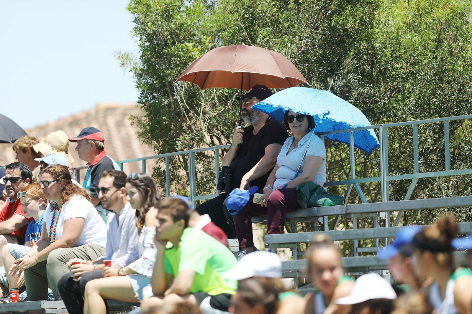 Rugby de la Copa de la Reina en Montecastillo