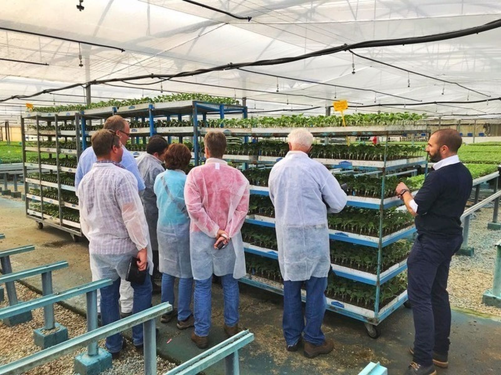 Visita del grupo de profesionales extranjeros al semillero almeriense.