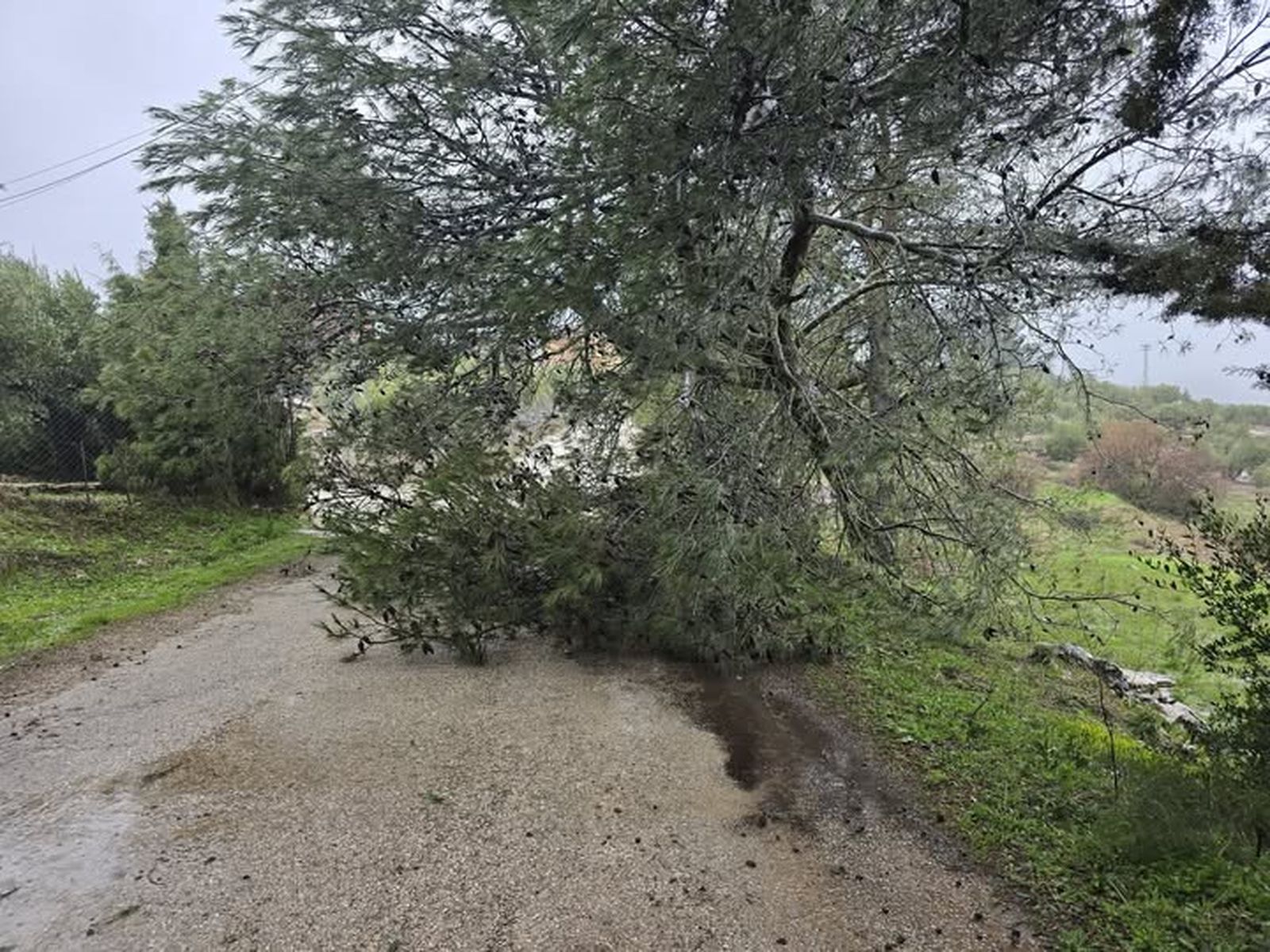JAMILENA. Carretera cortada hacia el paraje de San Isidro.