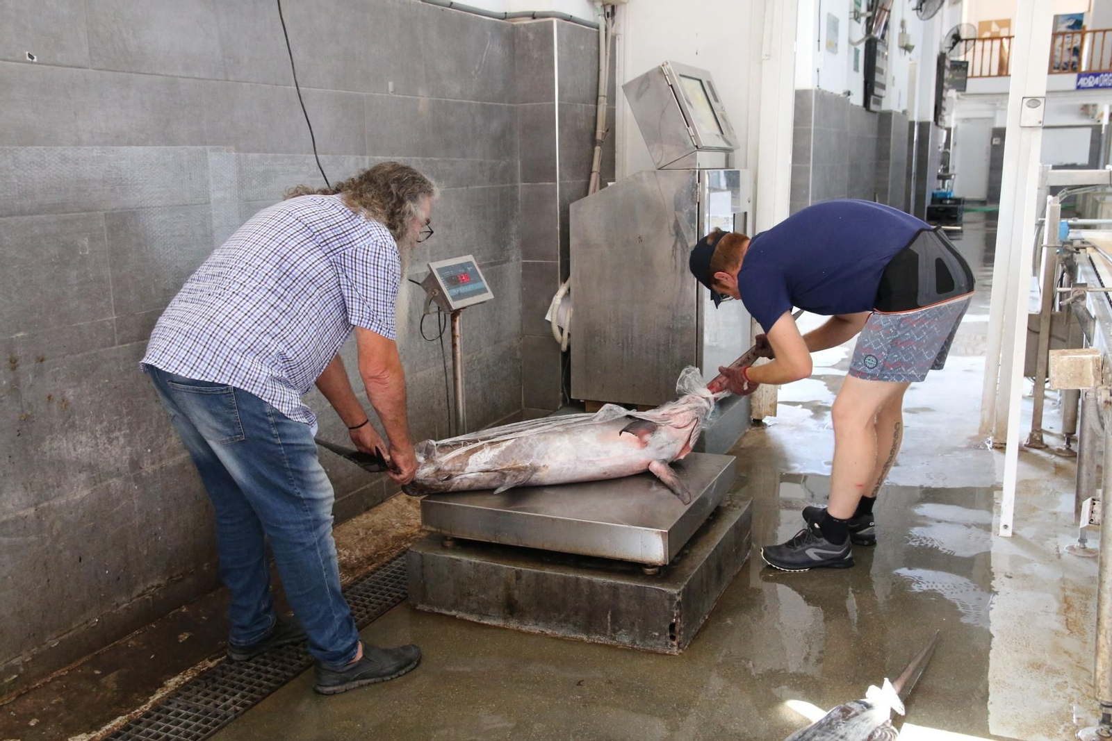 Fotogalería de la Cofradía de Pescadores de Adra