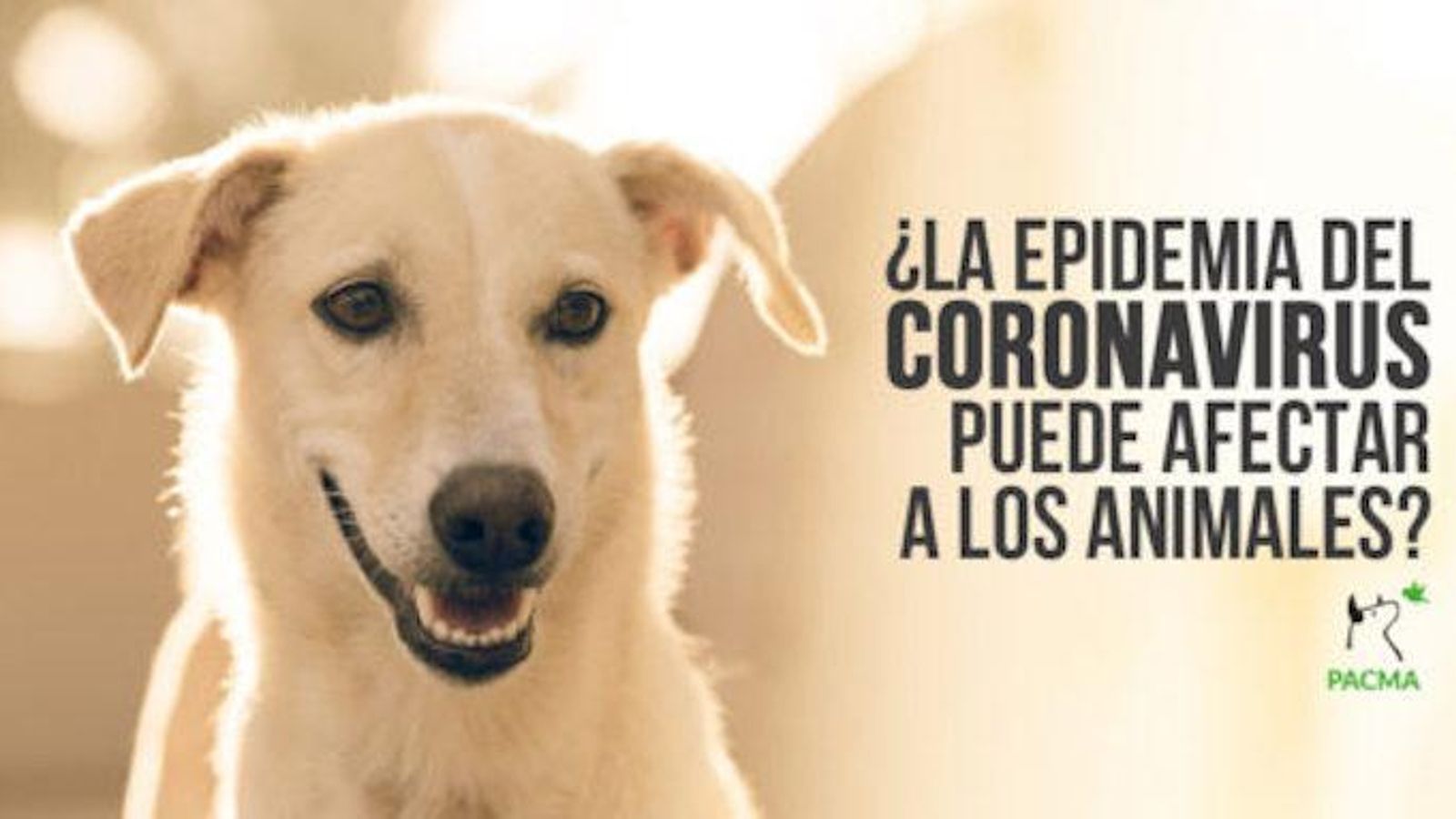 La epidemia puede afectar a los animales.