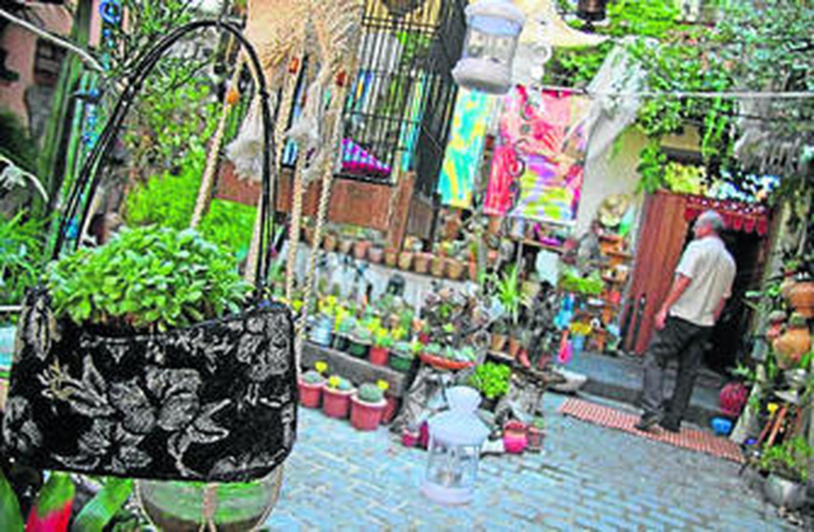 1. Imagen del vivero. En primer plano, uno de los bolsos-macetas. 2. La Mar de Flores también abre sus puertas a la exposición de disciplinas como la pintura. 3. Guitarra con planta en su interior. 4. Zapatos con cactus plantado,  y a su vez expuestos dentro de una jaula. 5. Los zapatos de tacón son los tiestos con más éxito.