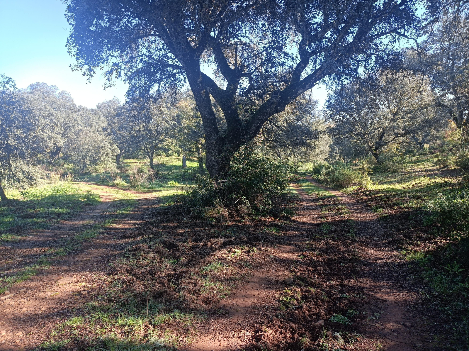 La vegetación es más densa en esta zona, pero mucho más hermosa.