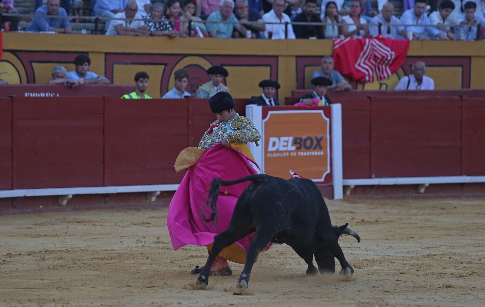 La novillada de Miguelín que abre la feria de Algeciras, en imágenes