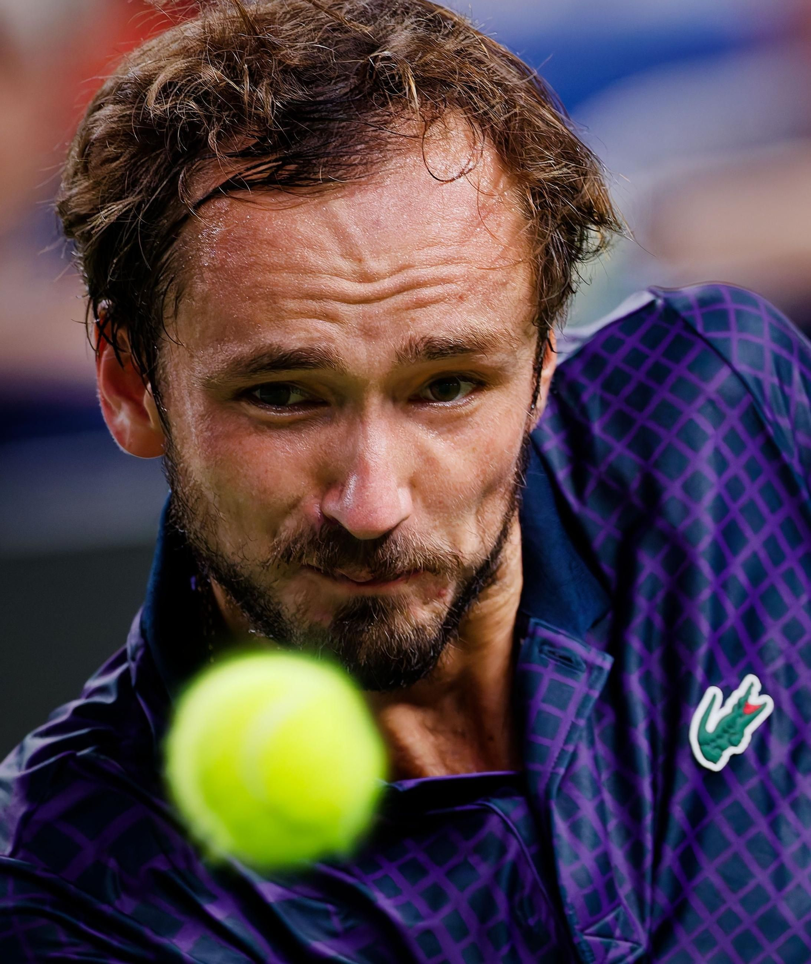 Alejandro Davidovich-Daniil Medvedev, en fotos