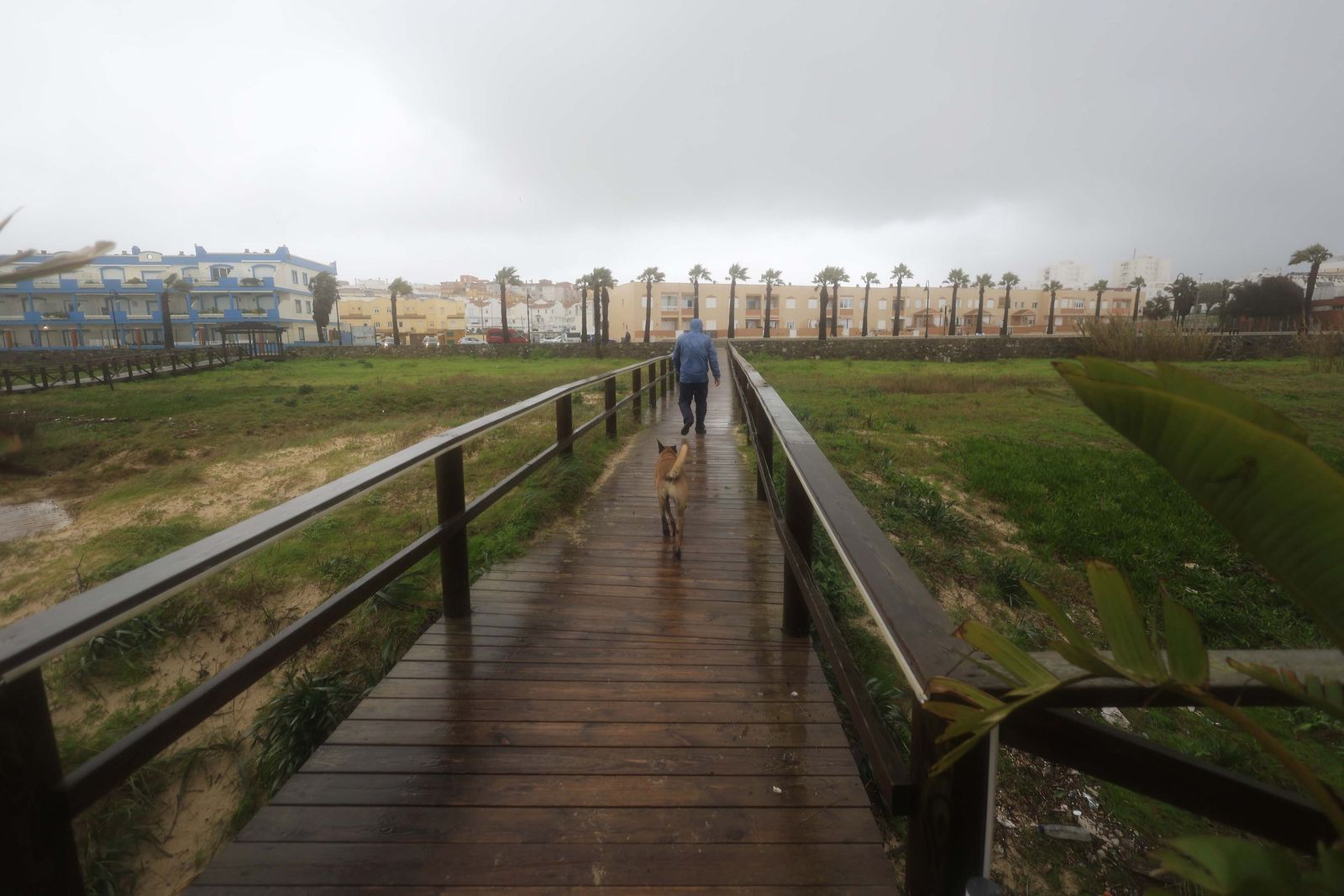 Fotos de los efectos de la borrasca Leonardo en Tarifa, Algeciras y Castellar