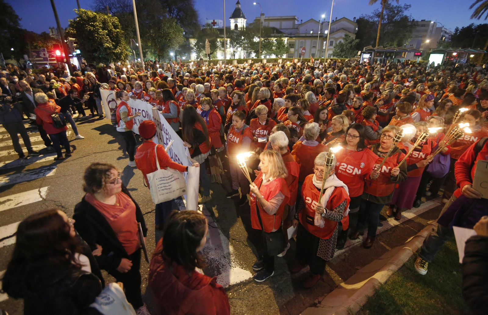 La manifestación en Córdoba contra la violencia de género, en fotografías