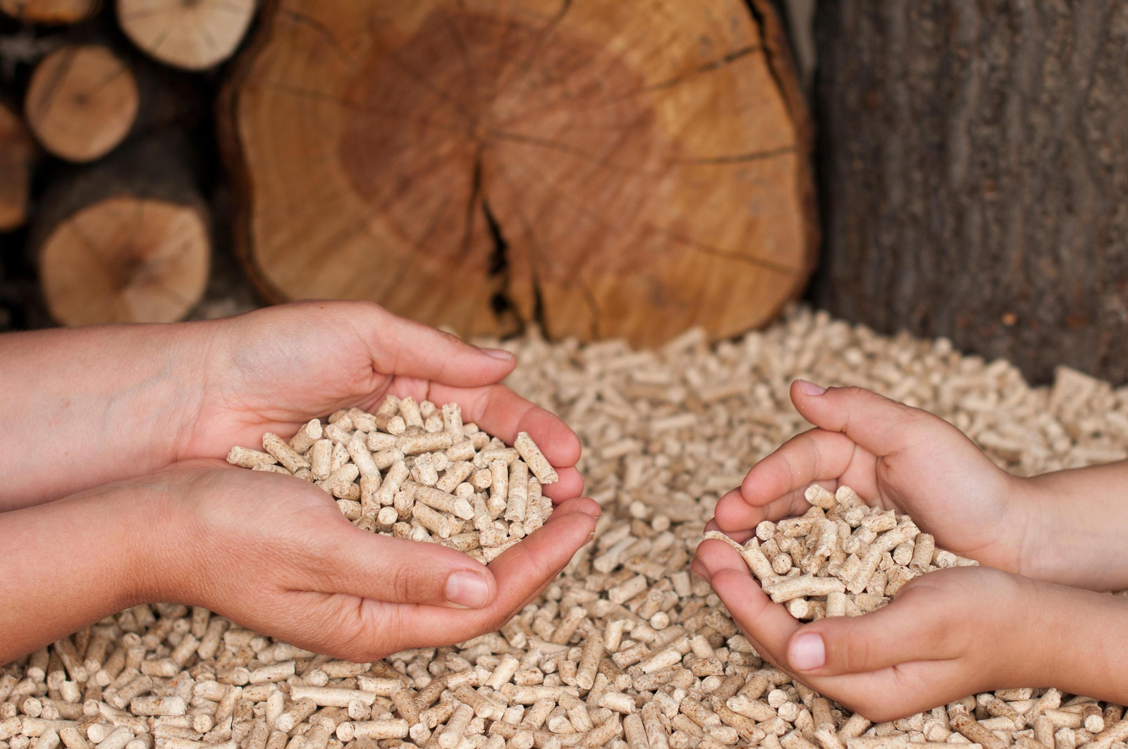 Pellets, la mejor alternativa para el invierno.