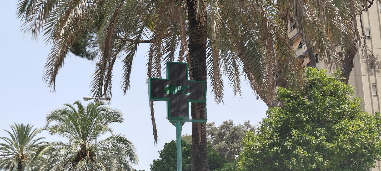 Temperatura que marcaba este domingo a mediodía el termómetro de la farmacia de El Bosque en Jerez.