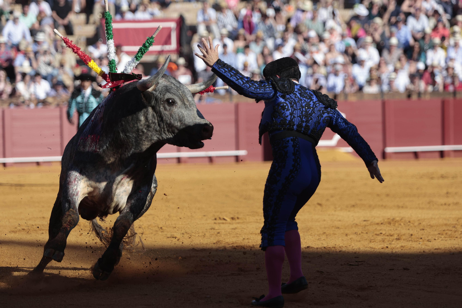 Las imágenes del festejo