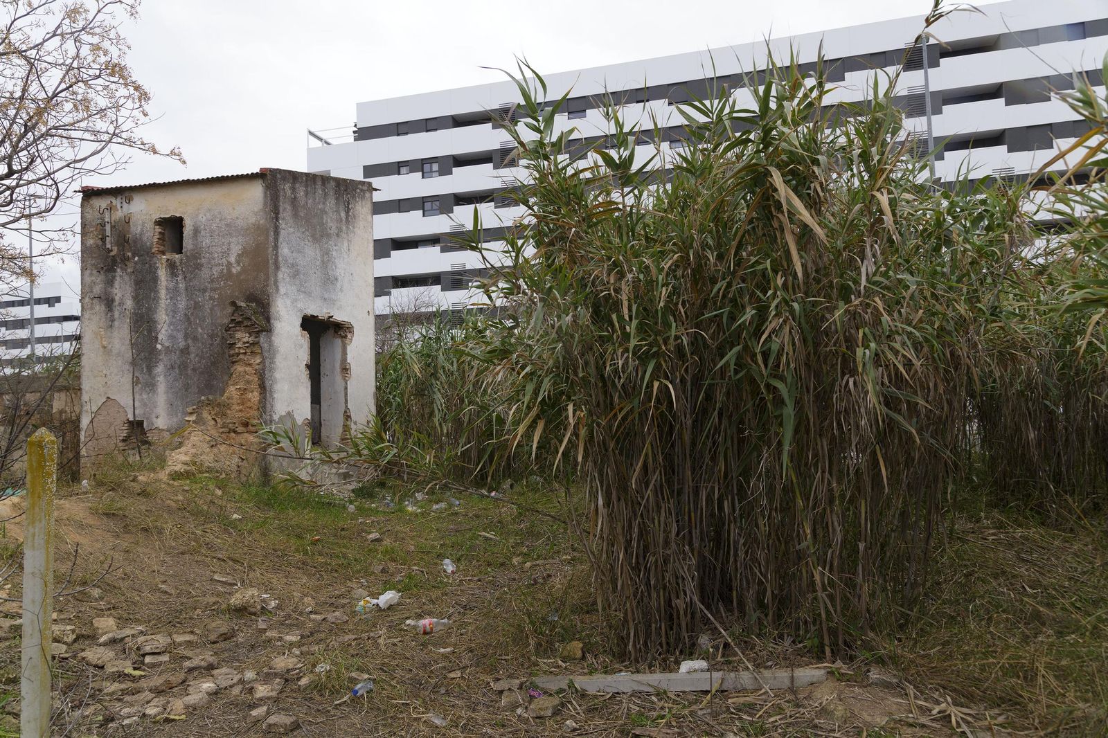 Las fotos del estado de la Hacienda El Rosario