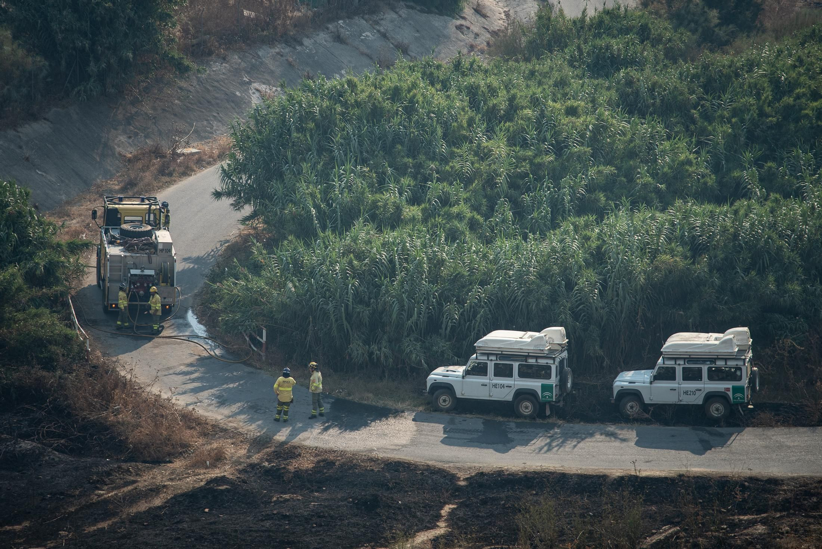 El incendio de Lucena del Puerto en imágenes