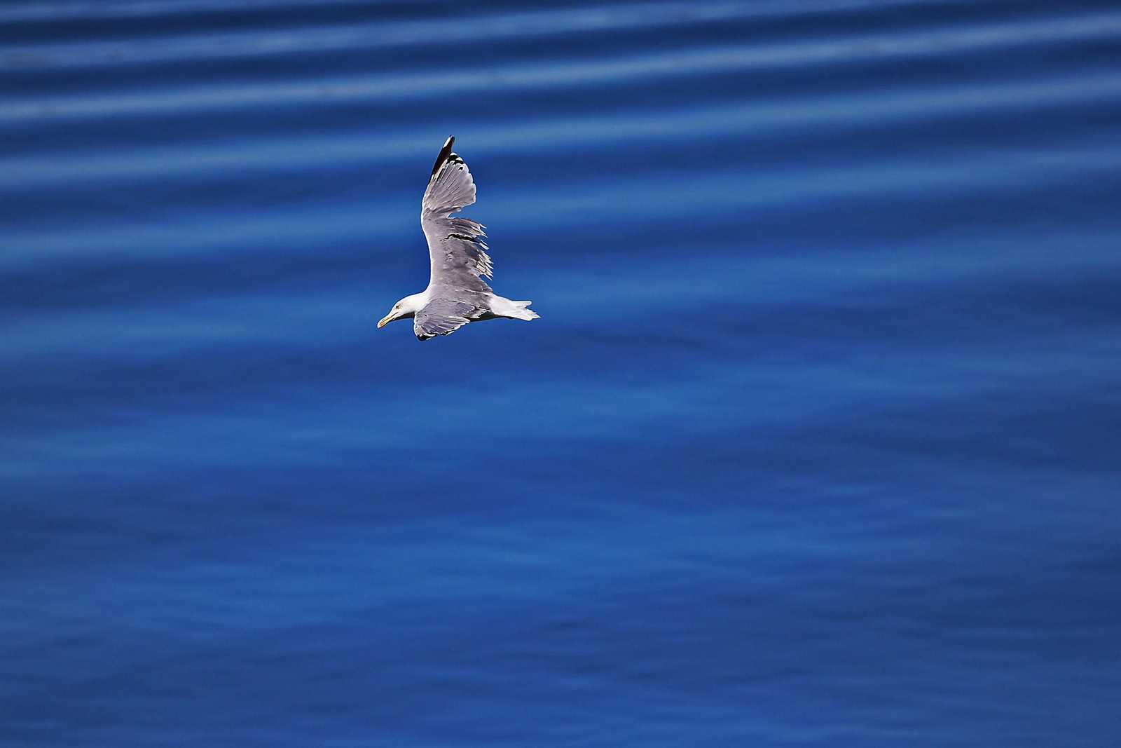 Las imágenes más destacadas del domingo 8 de septiembre en Huelva