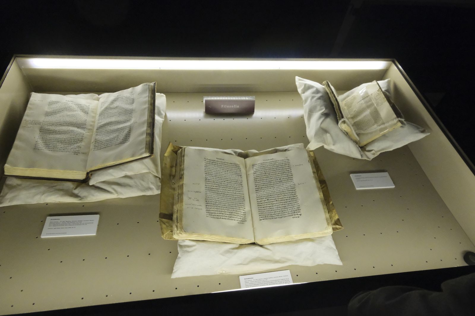 De Bizancio a Córdoba: Un recorrido en imágenes por la exposición sobre los libros griegos del siglo XVI en las bibliotecas cordobesas