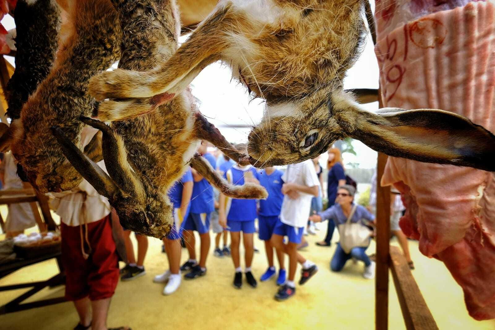 La fiesta de celebración del V Centenario