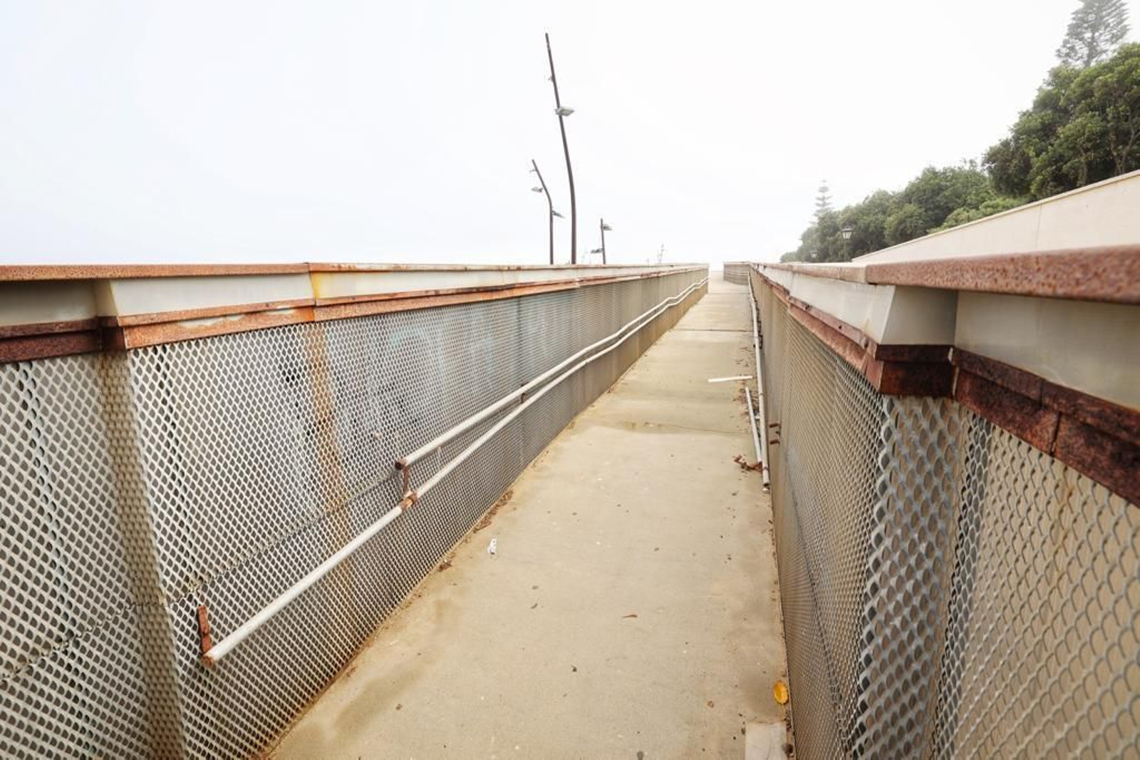 Imágenes del abandono de la pérgola del parque Genovés de Cádiz