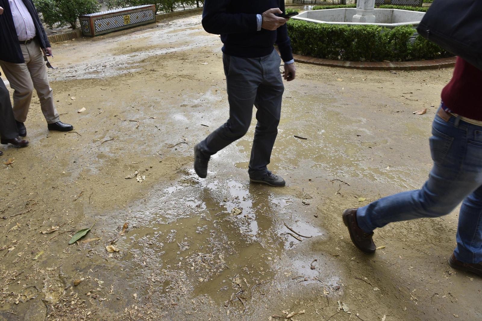 El estado de los Jardines de Murillo, en imágenes