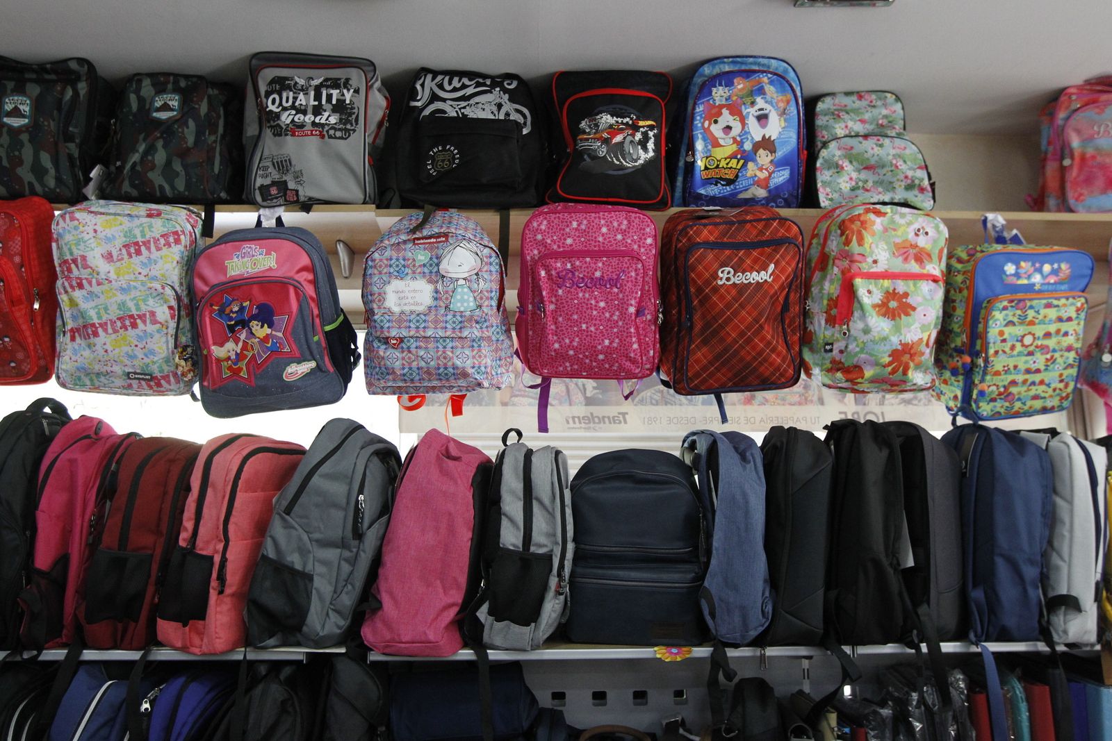 Fotogalería entrega cheque escolar 2019-2020